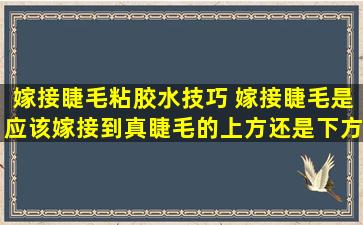 嫁接睫毛粘胶水技巧 嫁接睫毛是应该嫁接到真睫毛的上方还是下方